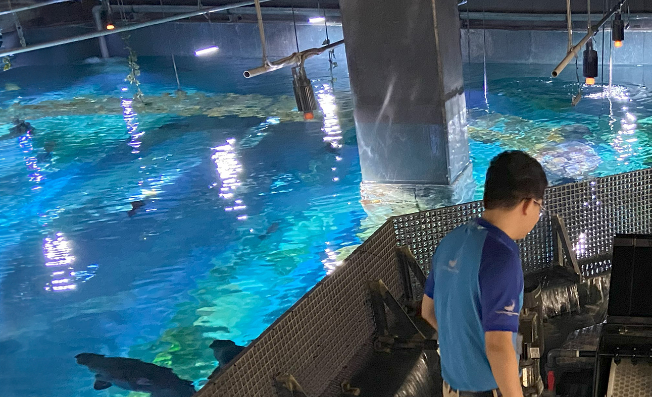 Ratz Protein Skimmer - CM Aqua