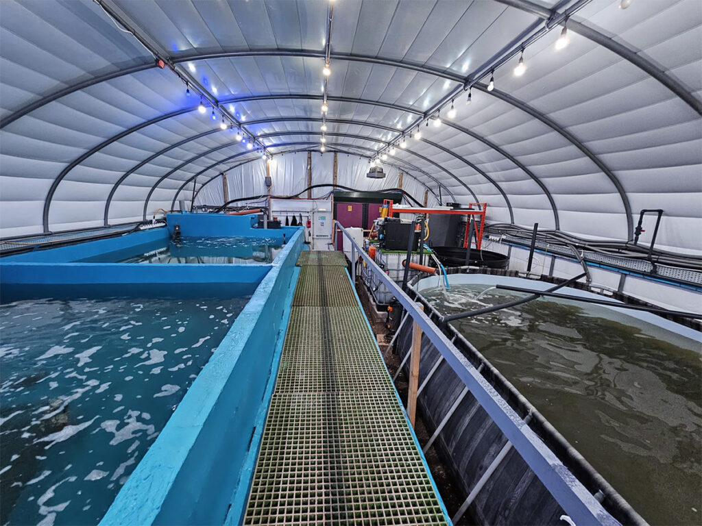 environmentally friendly production can be profitable